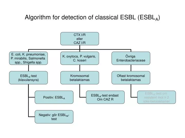 algorithm for detection of classical esbl esbl a