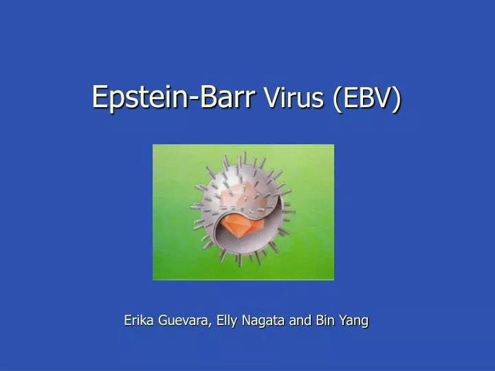 epstein barr virus ebv erika guevara elly nagata and bin yang