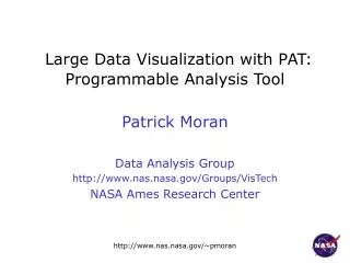 Large Data Visualization with PAT: Programmable Analysis Tool