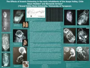 The Effects of Arsenic Poisoning in the early inhabitants of the Azapa Valley, Chile Gwyn Madden 1 and Bernardo Arriaza