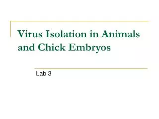 Virus Isolation in Animals and Chick Embryos