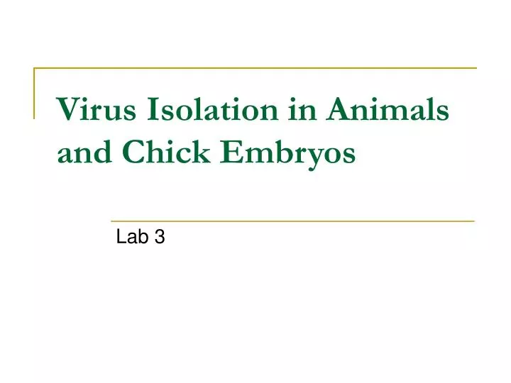 virus isolation in animals and chick embryos