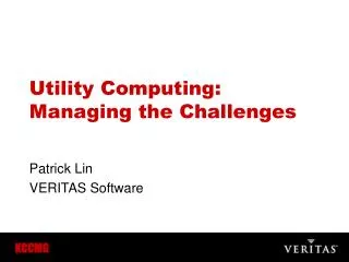 Utility Computing: Managing the Challenges