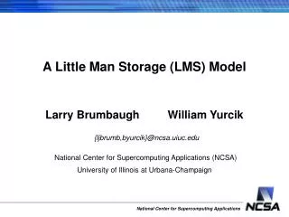 A Little Man Storage (LMS) Model