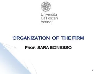 ORGANIZATION OF THE FIRM Prof. SARA BONESSO