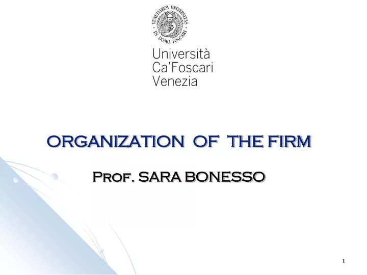 organization of the firm prof sara bonesso