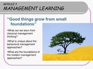 MODULE 3 MANAGEMENT LEARNING