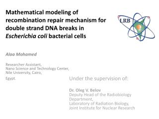 Mathematical modeling of recombination repair mechanism for double strand DNA breaks in Escherichia coli bacterial cel