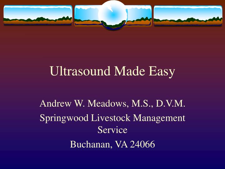 ultrasound made easy