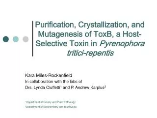 Kara Miles-Rockenfield In collaboration with the labs of Drs. Lynda Ciuffetti 1 and P. Andrew Karplus 2