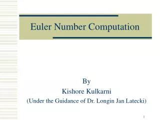 Euler Number Computation