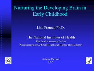 Nurturing the Developing Brain in Early Childhood