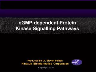 cGMP-dependent Protein Kinase Signalling Pathways