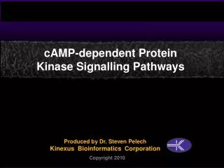 cAMP-dependent Protein Kinase Signalling Pathways