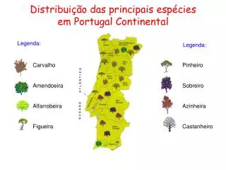 Distribuição das principais espécies em Portugal Continental