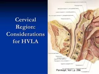 Cervical Region: Considerations for HVLA