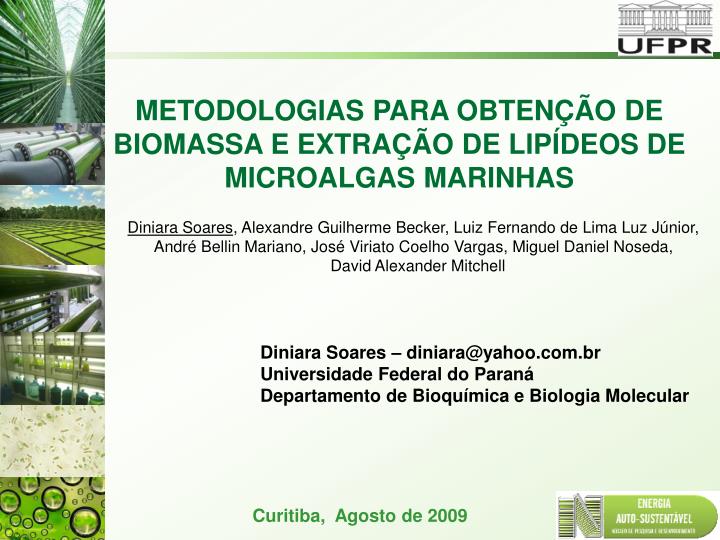 metodologias para obten o de biomassa e extra o de lip deos de microalgas marinhas