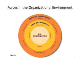 Forces in the Organizational Environment