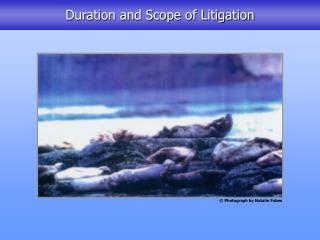 Duration and Scope of Litigation