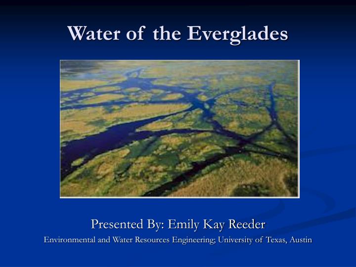water of the everglades