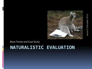 Naturalistic Evaluation