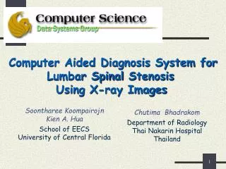 Computer Aided Diagnosis System for Lumbar Spinal Stenosis Using X-ray Images