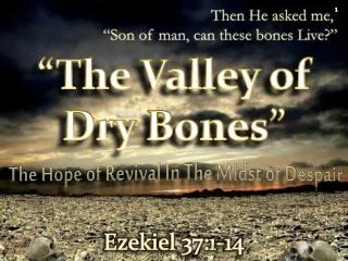 “The Valley of Dry Bones”