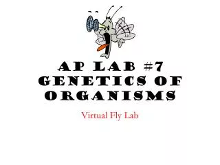 AP Lab #7 Genetics of Organisms