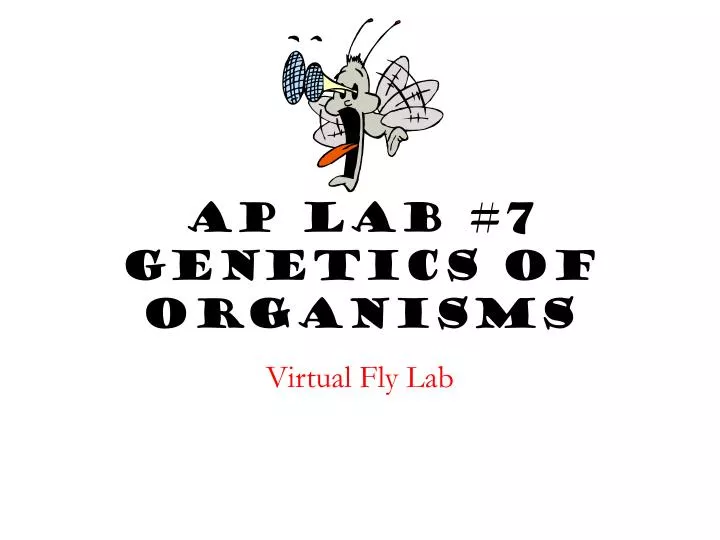 ap lab 7 genetics of organisms