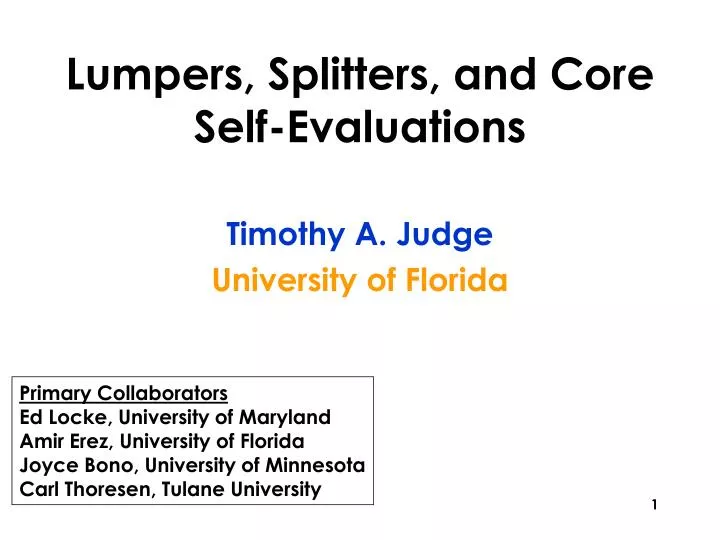 lumpers splitters and core self evaluations