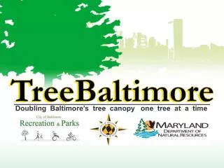 Doubling Baltimore’s tree canopy one tree at a time