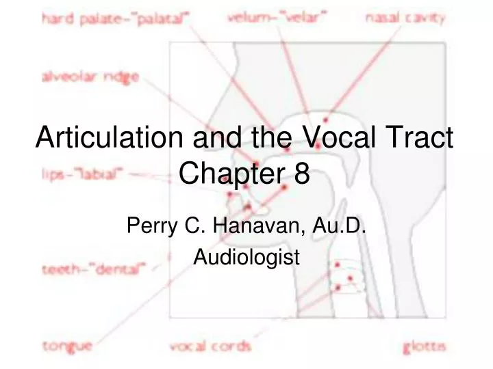 articulation and the vocal tract chapter 8