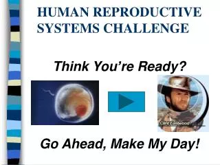 HUMAN REPRODUCTIVE SYSTEMS CHALLENGE