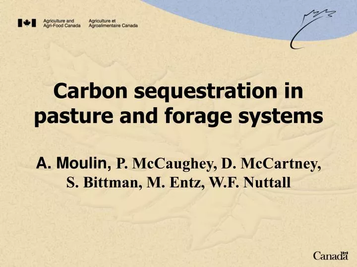 carbon sequestration in pasture and forage systems