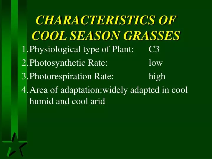 characteristics of cool season grasses