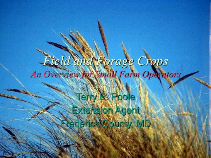 field and forage crops an overview for small farm operators
