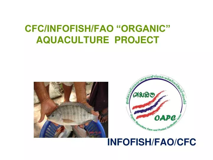 cfc infofish fao organic aquaculture project