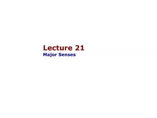 Lecture 21 Major Senses