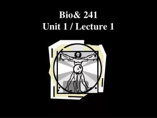 Bio&amp; 241 Unit 1 / Lecture 1