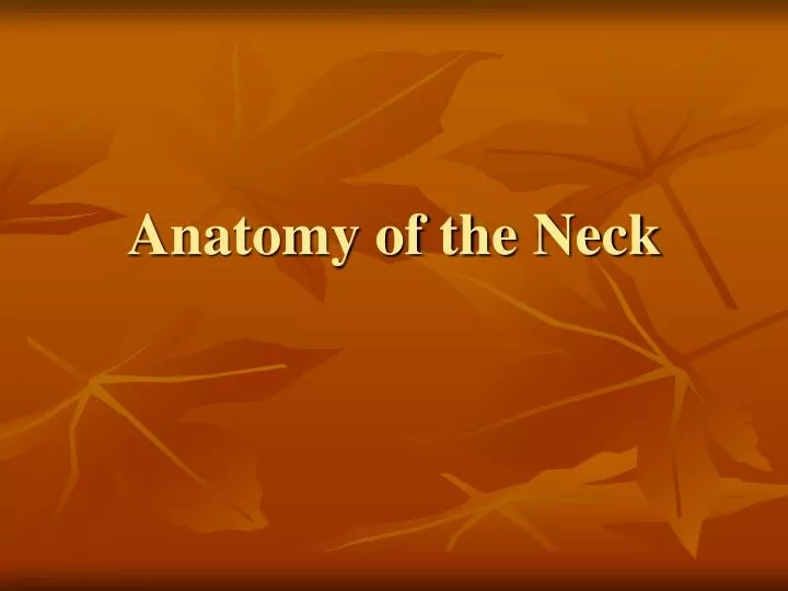 anatomy of the neck