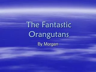 The Fantastic Orangutans