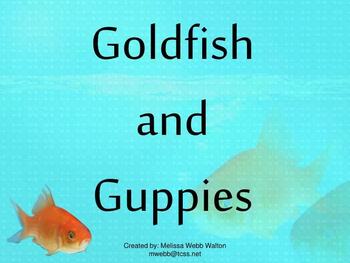 goldfish and guppies