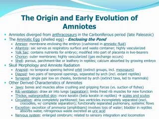 The Origin and Early Evolution of Amniotes
