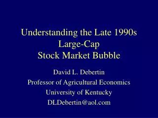 Understanding the Late 1990s Large-Cap Stock Market Bubble