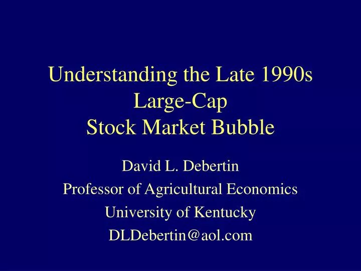 understanding the late 1990s large cap stock market bubble