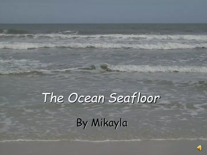 the ocean seafloor
