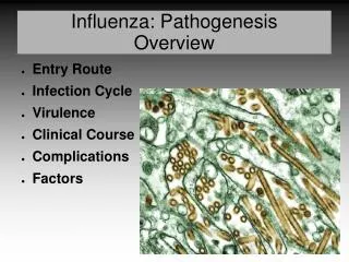 Influenza: Pathogenesis Overview