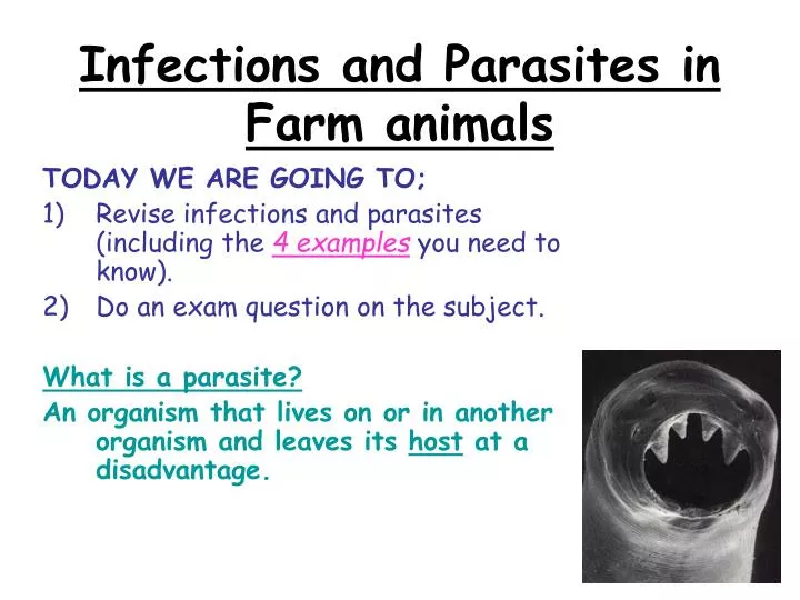 infections and parasites in farm animals