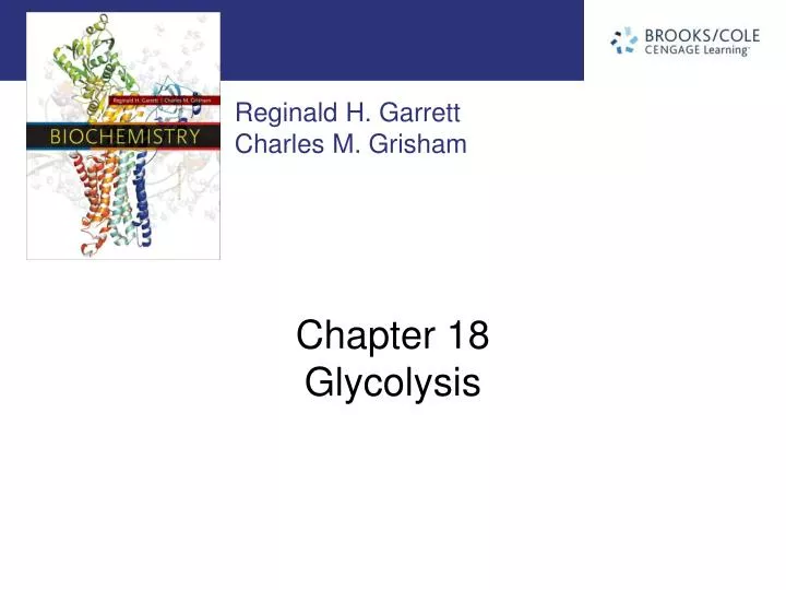 chapter 18 glycolysis