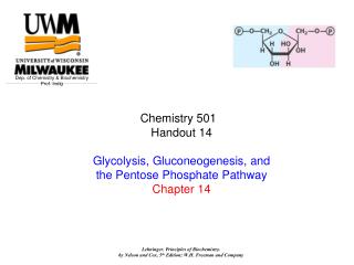 Chemistry 501 Handout 14 Glycolysis, Gluconeogenesis, and the Pentose Phosphate Pathway Chapter 14